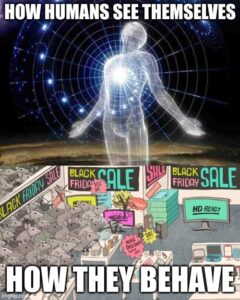 homo sapiens