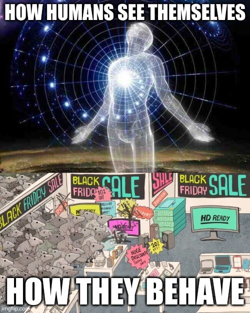 homo sapiens
